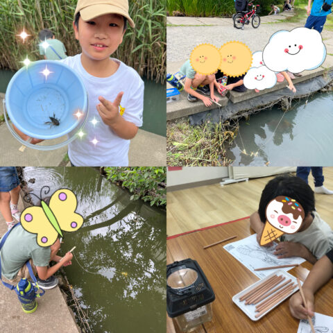 ザリガニ釣り🎣