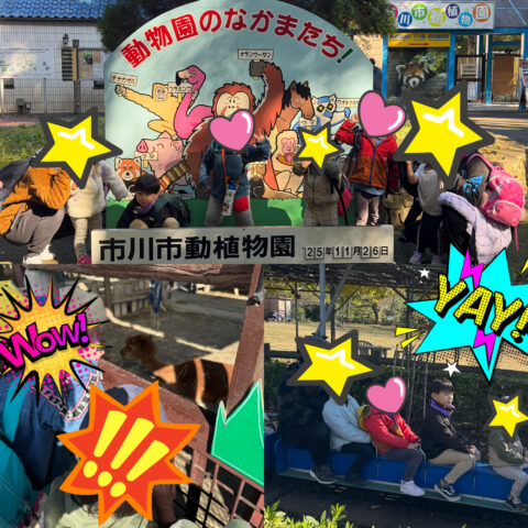 🐖市川動植物園に遊びに行ったよ🐄