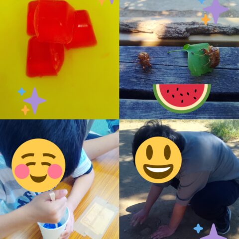 石鹸つくり.。o○