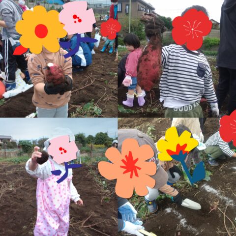 さつまいも堀に行ったよ🍠