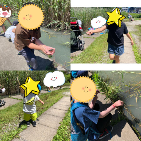 ザリガニ釣りで大冒険！🦞🎣