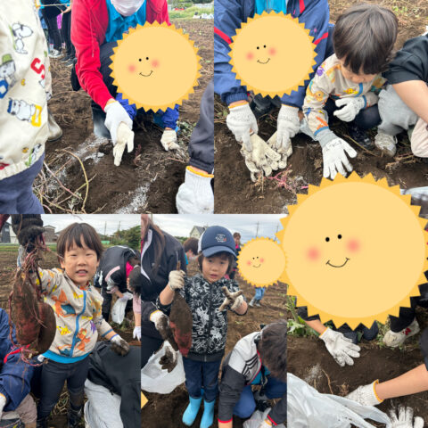 さつまいも堀り🍠